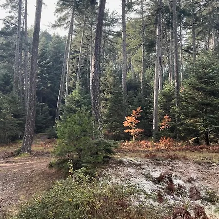 The House Feneos Chalet Archaia Feneos