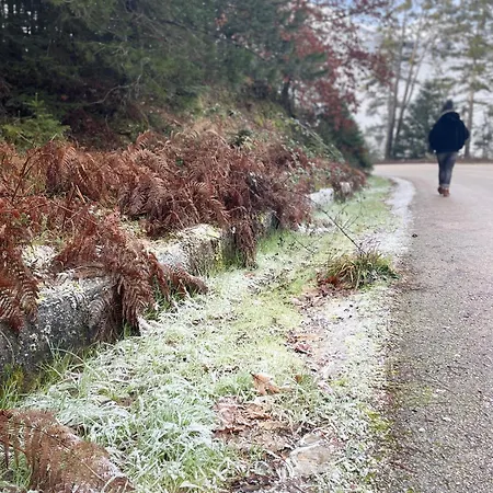 The House Feneos * Archaia Feneos