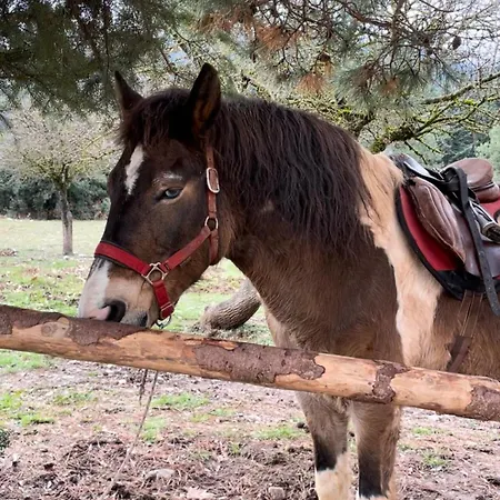 The House Feneos Chalet *