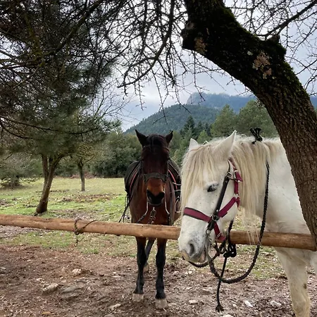 The House Feneos Chalet