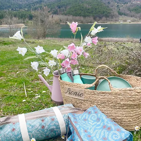 Chalet The House Feneos