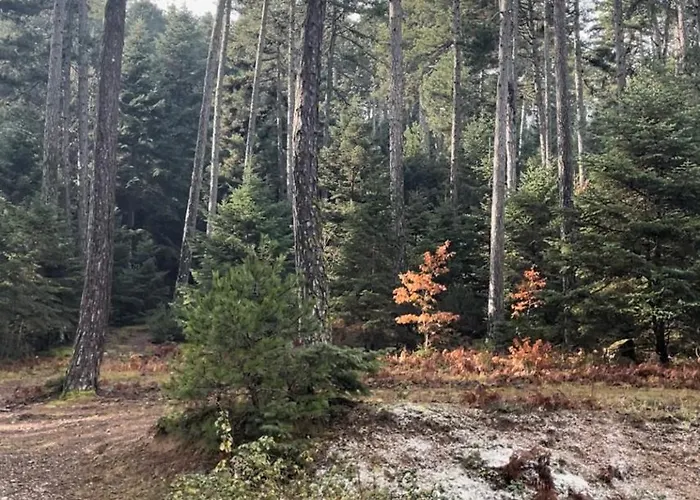 The House Feneos Alpesi faház Arhéa Feneósz