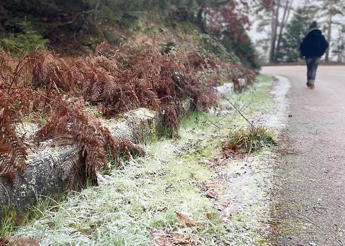 The House Feneos * Arhéa Feneósz