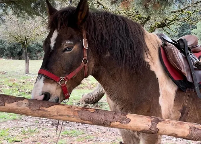 The House Feneos Alpesi faház *